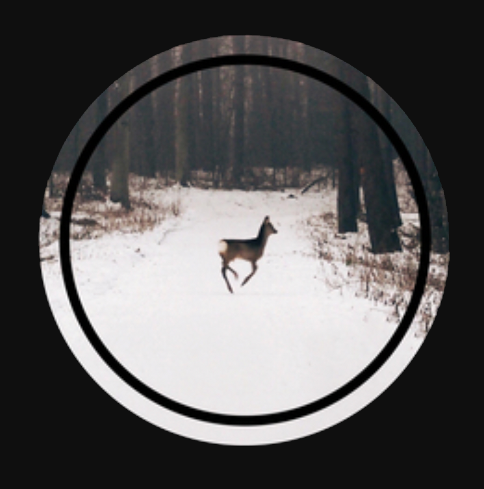 a deer in the middle of a snowy field is centered in a circular pattern with a black outer edge